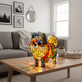 Colorful Pomeranian
