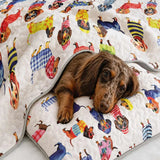 Colorful Outfit Dachshund Dog Cartoon Pet Quilted 3‑Piece Bedding Set